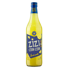 ZIZI COIN COIN